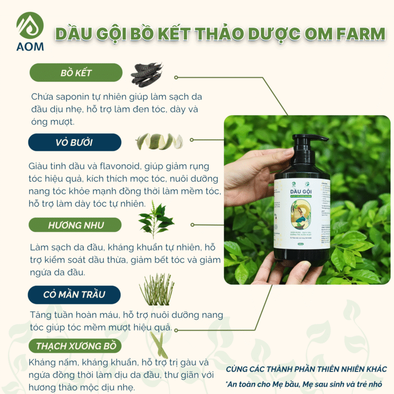 Thành phần dầu gội
