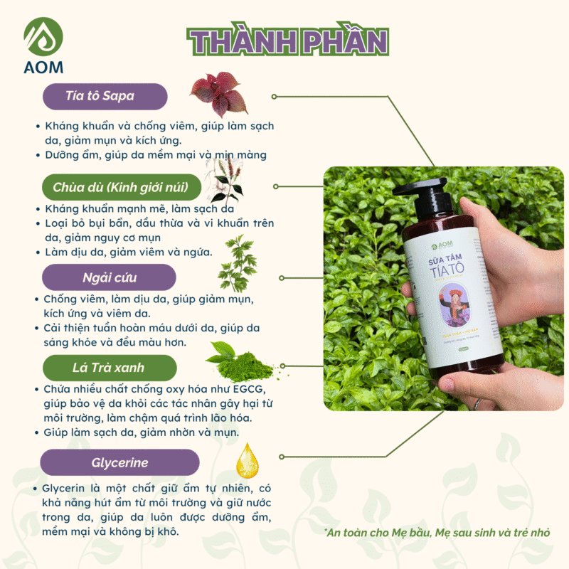 Thành phần Sữa tắm Tía tô