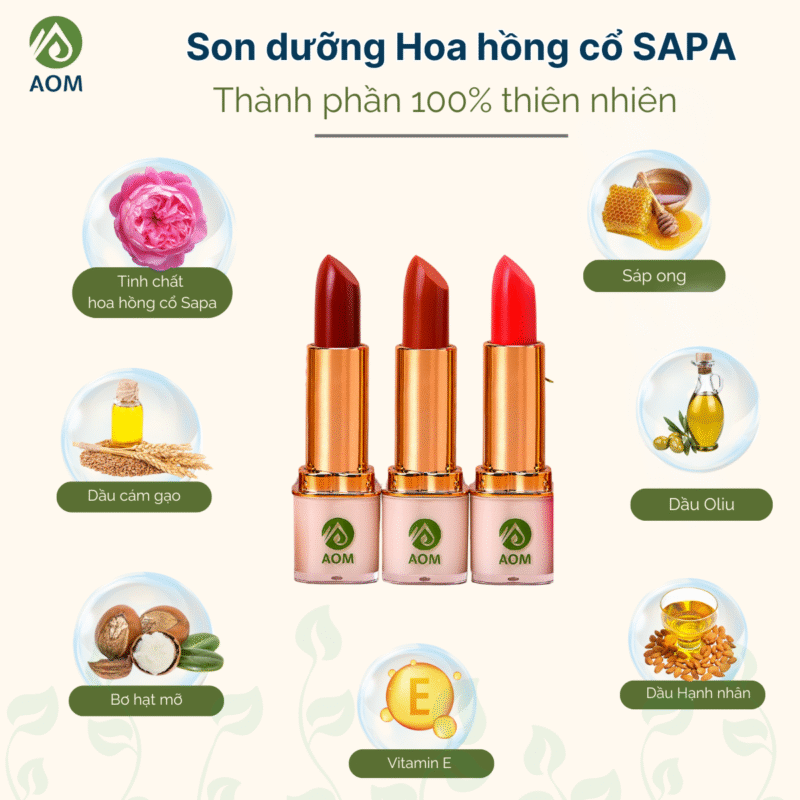 Thành phần Son dưỡng Hoa hồng