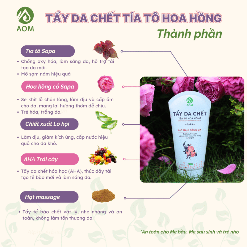 Thành phần Tẩy da chết Tía tô Hoa hồng