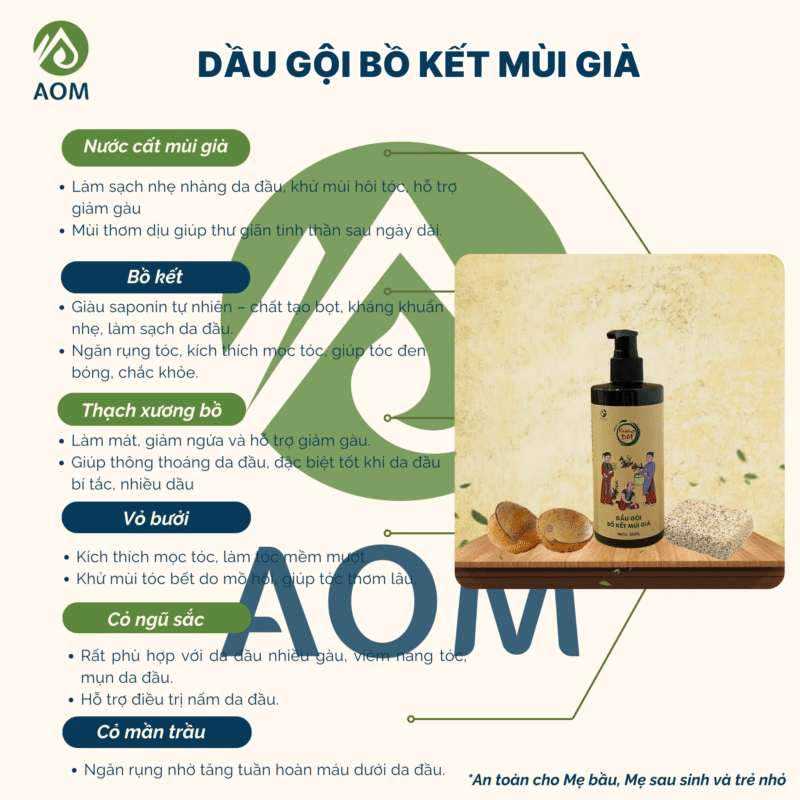 Thành phần Dầu gội Bồ kết Mùi già