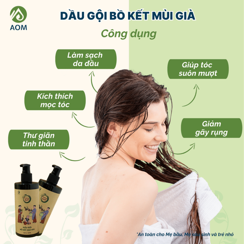 Công dụng Dầu gội Bồ kết Mùi già